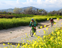 Bikers riding bikes on the Santa Ana River Trail with grass on one side and yellow flowers on the other 